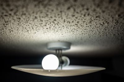 Popcorn Ceiling Service Costs — Cost of Popcorn Ceiling Service