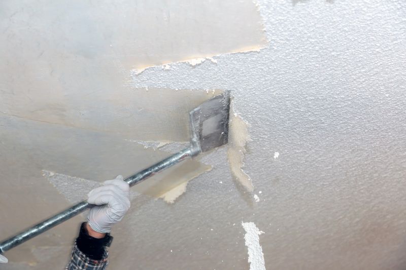 Popcorn Ceiling Service